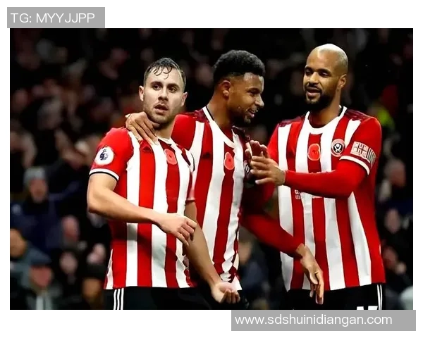 谢菲尔德星期三与卢顿的精彩对决比分分析与赛后点评